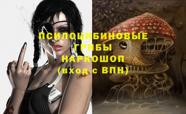 ГАЛЛЮЦИНОГЕННЫЕ ГРИБЫ Абинск