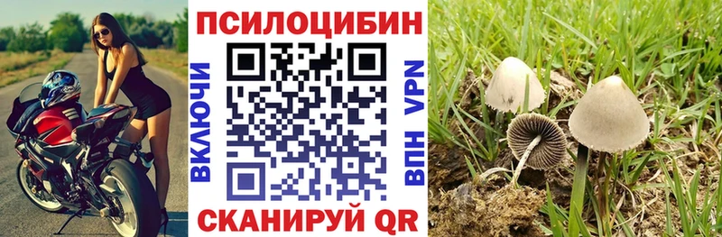 Псилоцибиновые грибы Psilocybine cubensis Агрыз